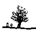 [荒野の１本エノキ]